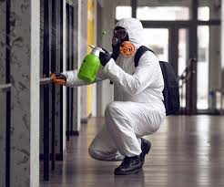 Best Asbestos and Lead Testing During Mold Inspection  in Bellefonte, PA